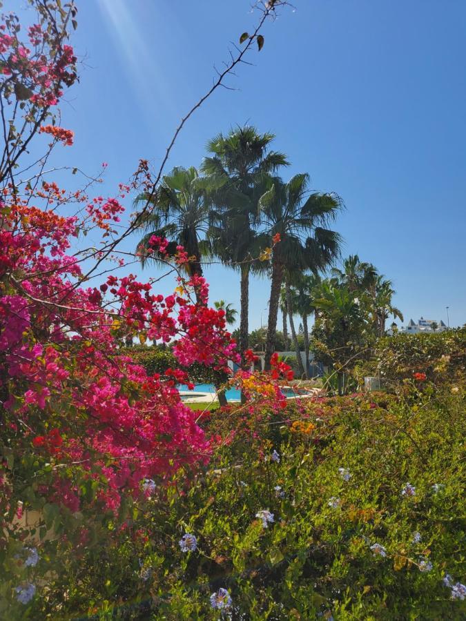 Bajo En Primera Linea De Vera-Playa Con Piscina Privada! المظهر الخارجي الصورة